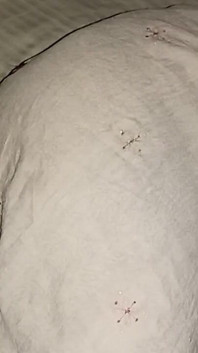 Big Ass and Big Pussy Fucked Hard