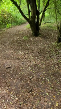 Un Cumslut En Un Public De Cumdown. ¡úsame Como Drenador Y Soporte De Sperm! Vanessabitchx Parischiennetrvprod⁹¹