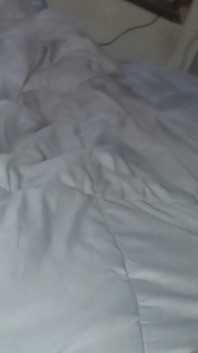 Shadysdick