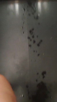 Sexo muy arriesgado en un ascensor con la vecina caliente Dada Deville