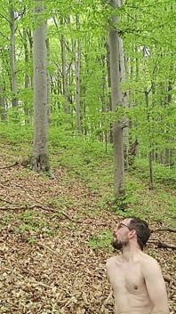 I Chase Him Through the Leaves