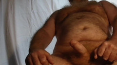The UK Hairy Bear: Beruang British berbulu melancap dengan dada berbulu dan perut