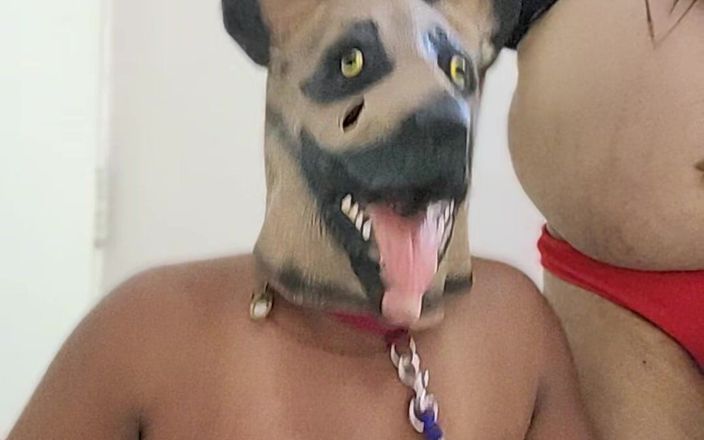 Indiansissychubby: My New Pet