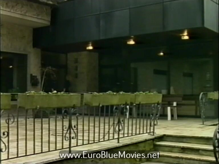 Euro Blue Movies: Magic Fist (1993)