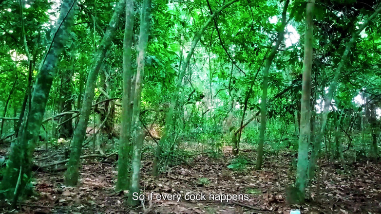 Gabi SweetCouplesStories: La conocí en la calle y la llevó al bosque,...