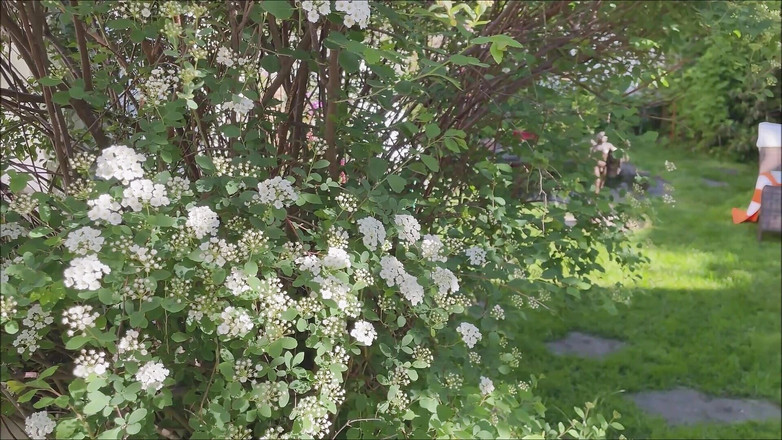 Dom Rod: 하드코어하고 크리미한 일광욕