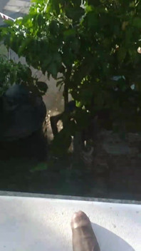 Flashing the Neighbors While Sunbathing