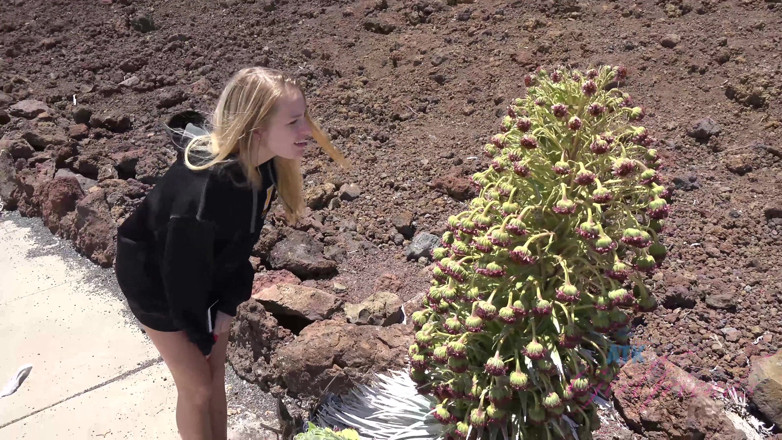 ATK Fans (Girlfriends): Vacanță virtuală pe Hawaii cu Scarlett Sage 2/6