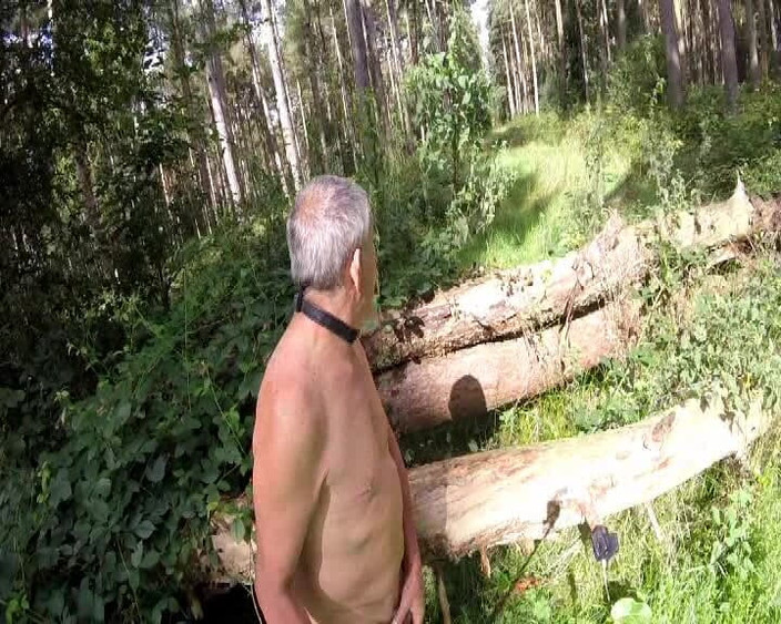 Andy: Wichsen im wald