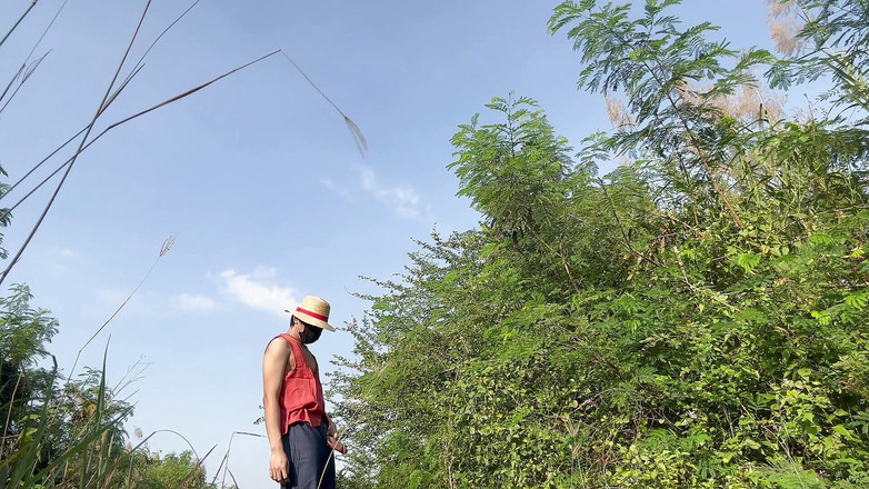 SinglePlayerBKK: Luffy Stor kuk runkar utomhus.