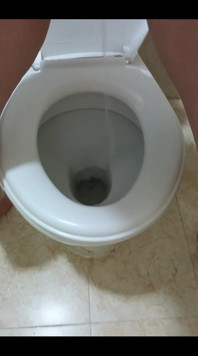 Dessperate Pissing