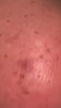 Due dildo nel mio culo