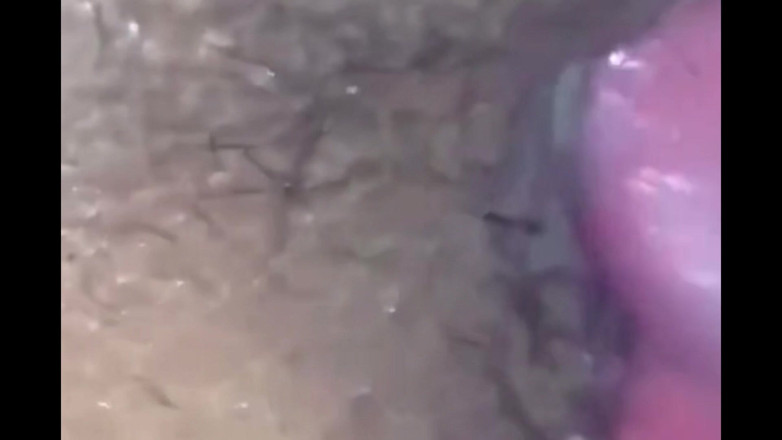 Gigi oficial: POV Interaktywne klipy: najlepsze chwile studenckiego życia (18 lat)