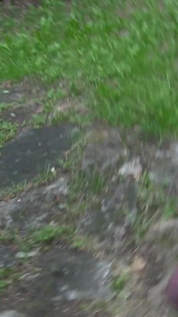 Połykanie spermy i sikanie