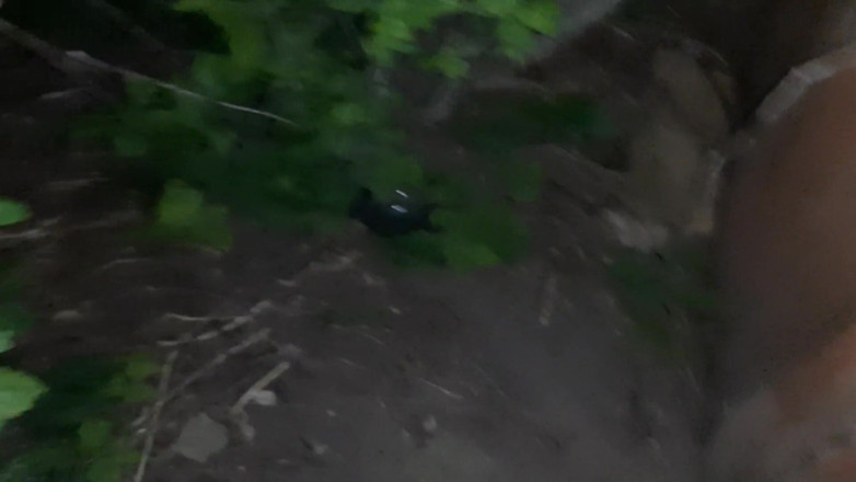 Lesbian-illusion: Przyłapałem mojego sąsiada na masturbacji w toalecie na ulicy i...