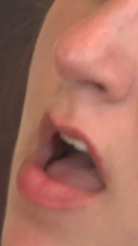 Plaché kočičky