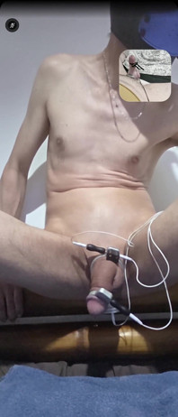 Filhote é ordenhado por Electrosex até explodir