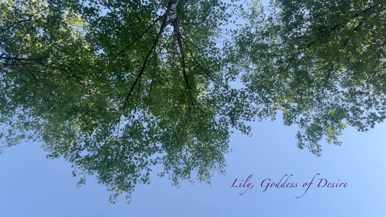 Lily, Goddess of Desire: Seks kasar dengan gadis remaja imut berseragam