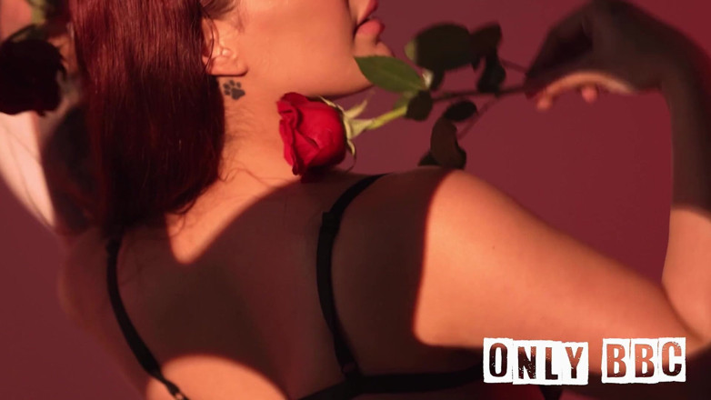 ONLY BBC: Büyük götlü latin Anais Amore büyük siyah yarağa biniyor