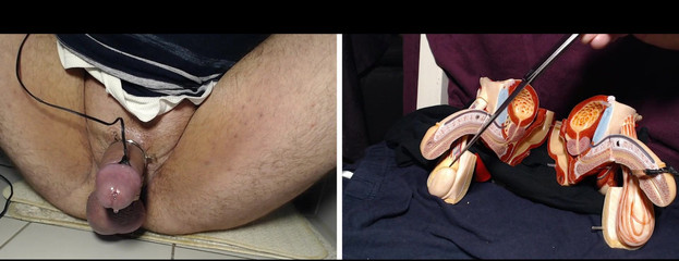 Gaylectrician: Mužský orgasmus