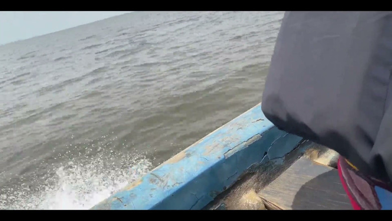 King Sasha's hub: A Journey Through the Sea