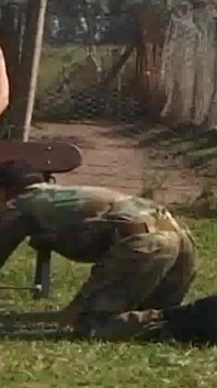 Disetubuhi oleh 2 militer di luar ruangan