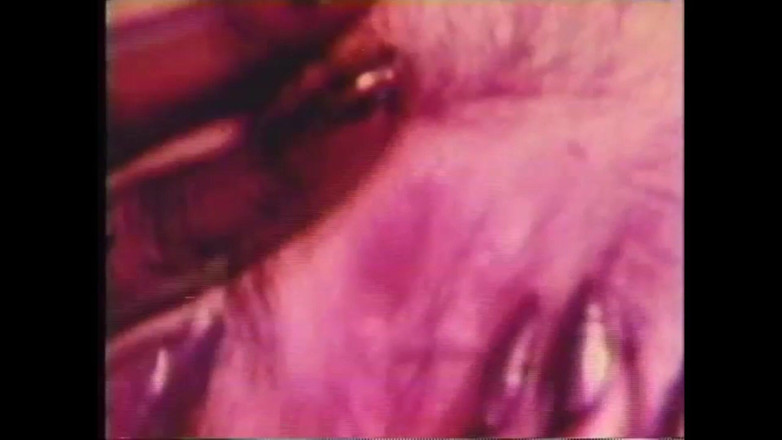 Vintage megastore: Le Pervers Fou Reçoit Du Lait