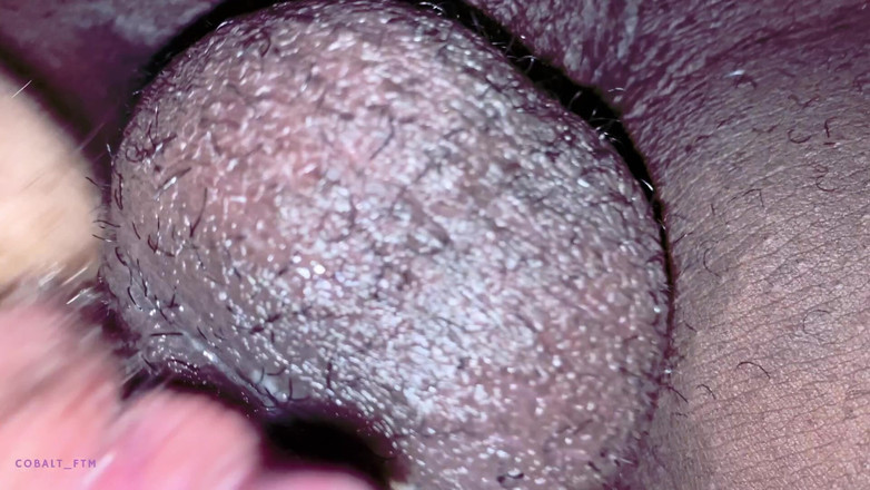 Cobalt FTM: Ftm Twink aanbidt opgehangen papa's pik voordat ze hard rauw...