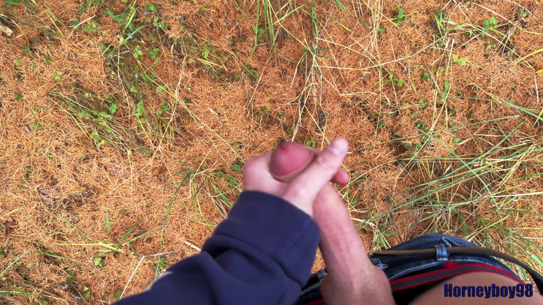 Horneyboy98: Minet Wixt Un jour d’automne dans la forêt et Squirt...