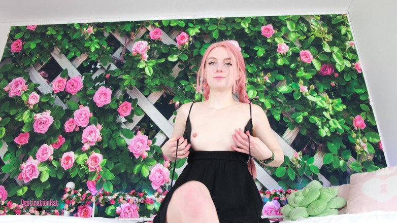 Destination Kat: Intrufolarsi alla festa della tua ragazza