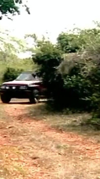 Tăieturi din Italia și împrejurimi - partea 08