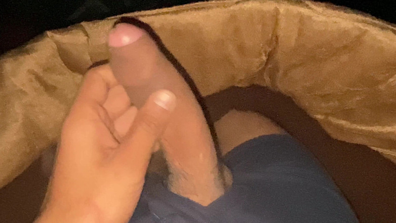 Shonai: La jolie fille s’est fait baiser et j’ai bien aimé...