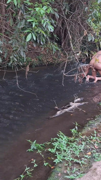 Fremde werden beim sex am Wasserfall erwischt.