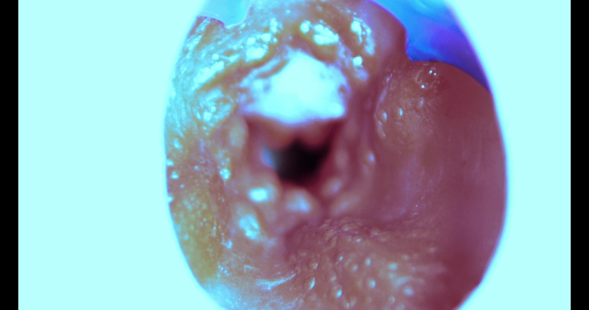 SEXY_GUYBEST: Как я трахаю из глубины! Камера внутри!