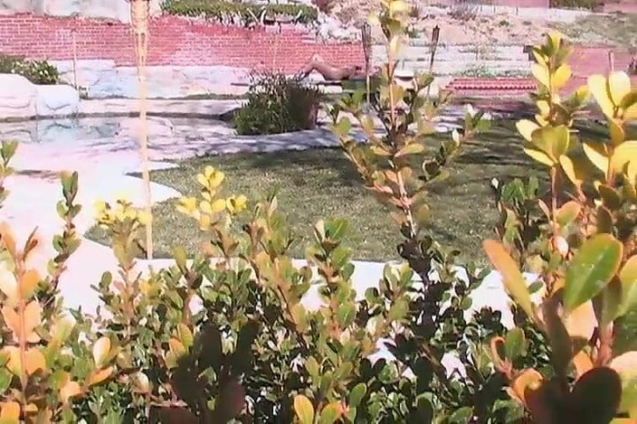 ATK Solo: おもちゃ。