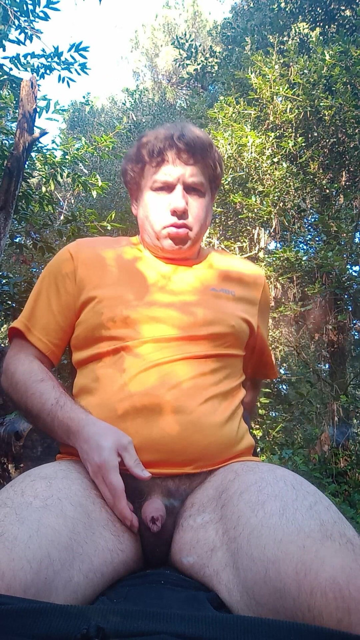 Olandese: Jongen in het bos, zittend op een boomstam, plast en...