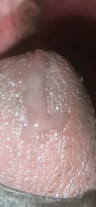 A Man Is Masturburating in His Bedroom.