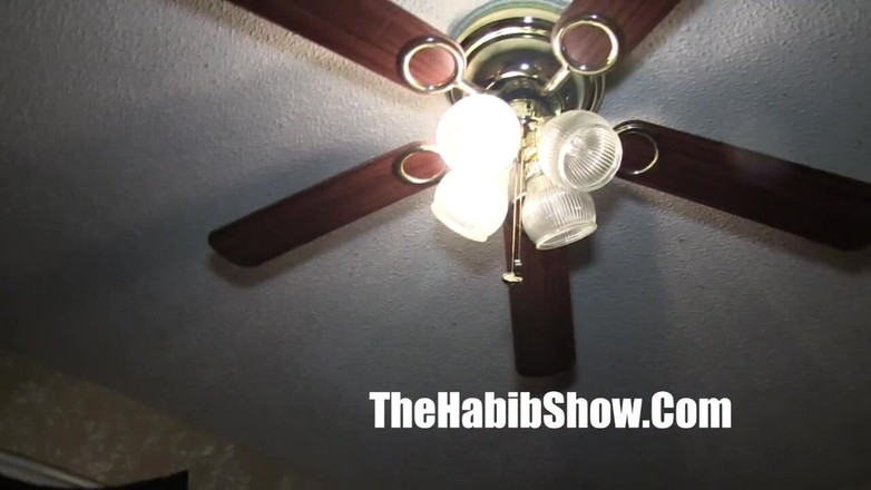 The Habib Show: Lady kappa गर्भवती फिर से चूत