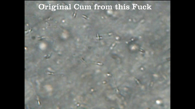 Mark Hannes: Fleshlight fuck masturbace a sperma pod mikroskopem