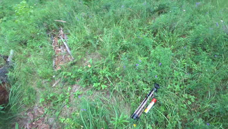 LittleSarahh: POV! Filled This MILF's Ass with Cum in the Park!