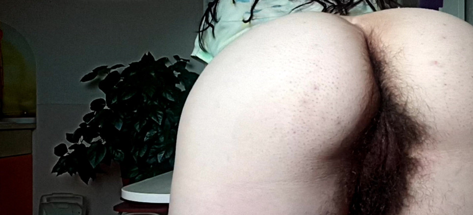 BW_Dolphin: विशाल बालों वाली बिल्ली और गधे का क्लोज-अप