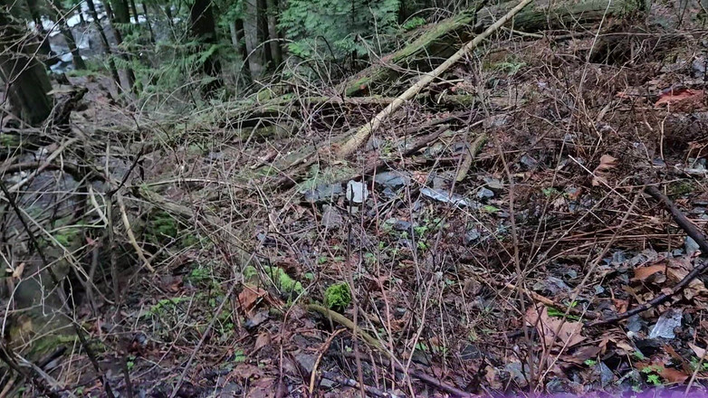 Nerdy_faery: Ekspedisi Ice Pee