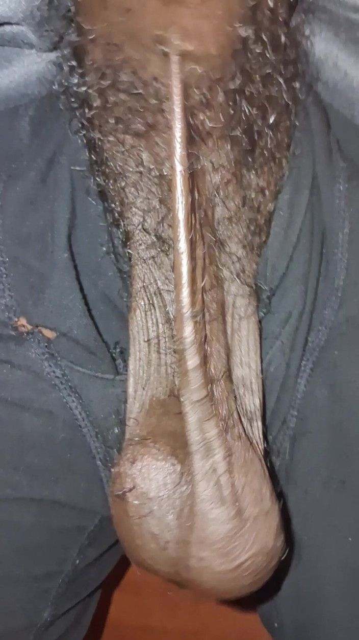 Chocolate Meat Stick: Juicy Chocolate Meat Uncut BBC