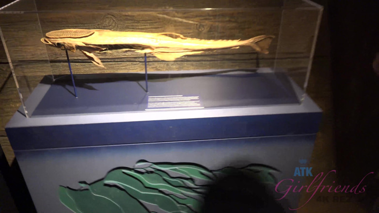 ATK Fans (Girlfriends): Virtual Vacation in Las Vegas with Eliza Jane Part 1