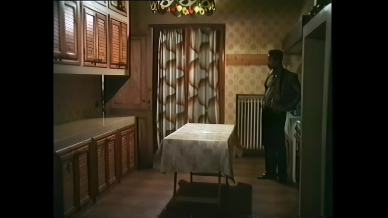 Vintage Megastore Full hd: Rocco Siffredi의 하드코어 자지를 시음하는 소녀를 위한 야생 섹스