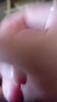 Blížím se k mému ptákovi