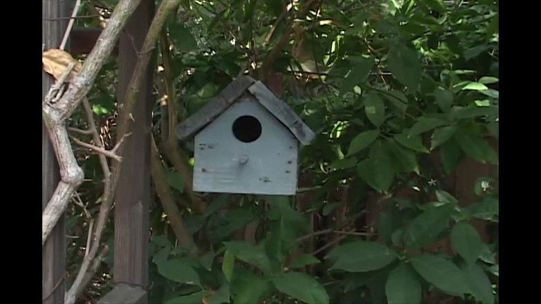 Dirty Lesbian: Deze teef houdt ervan om op lullen te zuigen en...