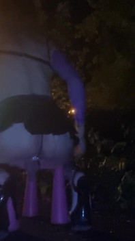A Whore in a Mini-skirt Ras Du Cul, on the Edge of the Nationale 7 in Brunoy. 2h00 Vanessabitchx Parischiennetrvprod