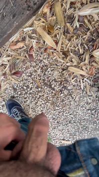 Peeing in the Garden