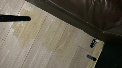 Danmel X: Construit pour avaler - programmé pour obéir